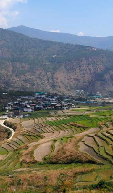 Chimi-lhakhang-valley